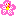 ハイビスカス