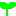 芽