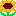 向日葵