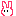 うさぎ