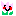 チューリップ