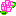 バラ