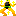 WRYYYYYYYY キラキラver.