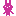うさぎ