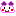 kuma