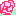 バラ