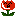 チューリップ