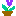 ミッキー花．紫