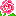 ﾊﾞﾗ