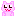 ピンクベア