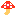 キノコ