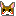 チワワ
