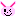 うさぎぃ！