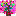 桜満開～