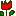 チューリップ