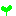 芽