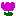 お花