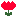 cyurip