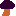 きのこ