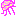 クラゲ