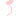 ）