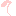 （