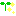 苗