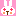 うさぎ