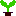 新芽
