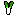 長ネギ