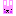 usagi