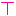 Ｔ