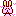 ウサギ