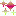 きらきら