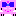 うさぎ!