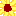 ひまわり