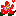 お花