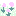 お花畑ww