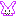ウサギ