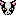 イギー