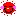 たいよー