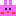 うさぎちゃん
