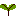 ｙ