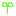 はっぱ