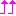 テンション↑↑