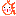 パロットフィッシュ