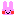 ウサギ