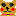 わんこ