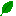 葉っぱ