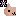 猫・X